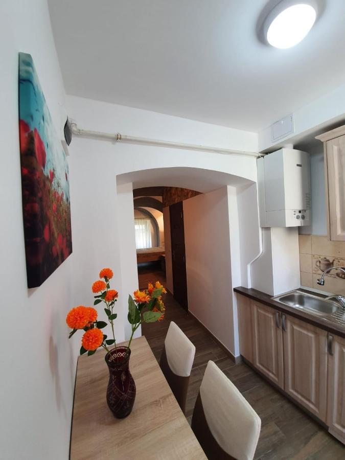 Radu Apartament Apartamento Sibiu Exterior foto